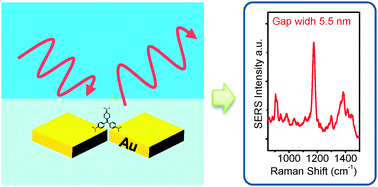 Graphical abstract: Essential nanogap effects on surface-enhanced Raman scattering signals from closely spaced gold nanoparticles