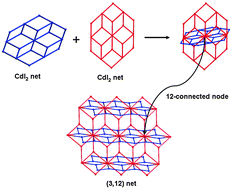 Graphical abstract: A simple topological identification method for highly (3,12)-connected 3D MOFs showing anion exchange and luminescent properties