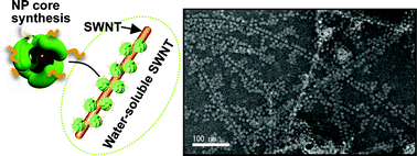 Graphical abstract: A water-soluble carbon nanotube network conjugated by nanoparticles with defined nanometre gaps