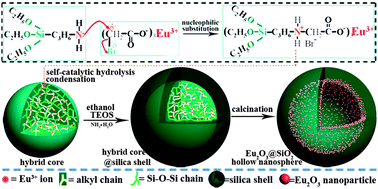 Graphical abstract: Facile access to ultrasmall Eu2O3 nanoparticle-functionalized hollow silica nanospheres based on the spontaneous formation and decomposition of a cross-linked organic/inorganic hybrid core