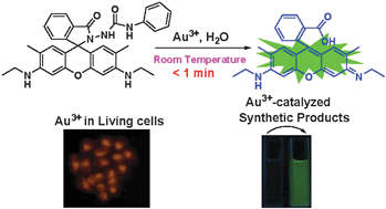 Graphical abstract: A fast-responsive fluorescent probe for detection of gold ions in water and synthetic products