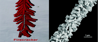 Graphical abstract: “Firecracker-shaped” ZnO/polyimide hybrid nanofibers viaelectrospinning and hydrothermal process