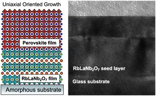 Graphical abstract: Facile on-demand oriented growth of perovskite oxide thin films: applications of Dion–Jacobson phase as seed layer
