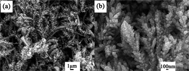 Graphical abstract: Nanoparticle-aggregated paddy-like copper dendritic nanostructures