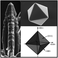 Graphical abstract: One-pot and template-free fabrication of dendritic and octahedral single-crystal magnetites