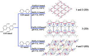 Graphical abstract: A series of complexes based on biphenyl-2,5,2′,5′-tetracarboxylic acid: syntheses, crystal structures, luminescent and magnetic properties
