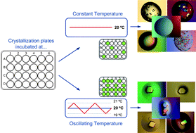 Graphical abstract: Small temperature oscillations promote protein crystallization