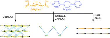 Graphical abstract: Homochiral transition-metal camphorate coordination architectures containing “piperazine–pyridine” ligands