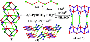 Graphical abstract: Structure and fluorescent properties of mercury(ii) pyridine-2,3-dicarboxylate coordination polymers tuned by ancillary ligands and alkaline-earth metal ions
