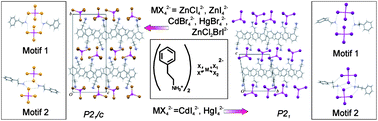 Graphical abstract: Robust motifs in 2-phenylethylammonium and related tetrahalometallates