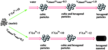 Graphical abstract: Controlled synthesis of NaYF4: Yb, Er nanocrystals with upconversion fluorescence via a facile hydrothermal procedure in aqueous solution