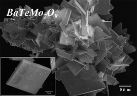 Graphical abstract: Novel BaTeMo2O9 fine particles synthesized via a supercritical water route
