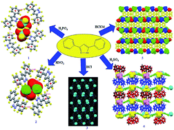 Graphical abstract: Anion directed supramolecular architecture of pyrazole based ionic salts