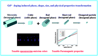 Graphical abstract: Modifying crystal phase, shape, size, optical and magnetic properties of monodispersed multifunctional NaYbF4 nanocrystals through lanthanide doping