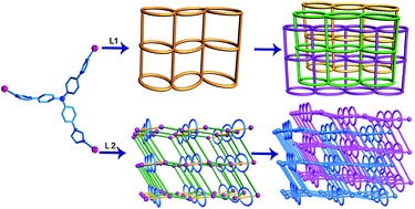 Graphical abstract: Two unprecedented 3D metal–organic polyrotaxane frameworks based on a new flexible tri(imidazole) ligand