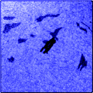 Graphical abstract: Direct observation of step-edge barrier effects and general aspects of growth processes: morphology and structure in diindenoperylene thin films deposited on Au(100) single crystals