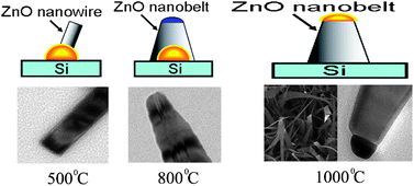 Graphical abstract: Temperature-dependent growth mechanisms of low-dimensional ZnO nanostructures