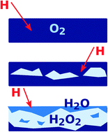 Graphical abstract: Water formation at low temperatures by surface O2 hydrogenation I: characterization of ice penetration
