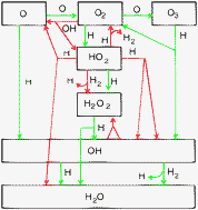 Graphical abstract: Water formation at low temperatures by surface O2 hydrogenation II: the reaction network