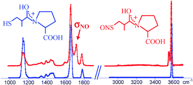 Graphical abstract: IRMPD spectroscopy of protonated S-nitrosocaptopril, a biologically active, synthetic amino acid