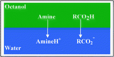 Graphical abstract: The transfer of neutral molecules, ions and ionic species from water to wet octanol