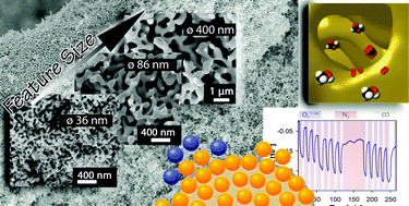 Graphical abstract: Nanoporous gold: a new material for catalytic and sensor applications