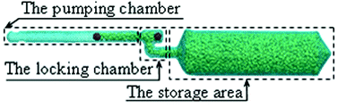 Graphical abstract: Nanocapsule with pump for methane storage