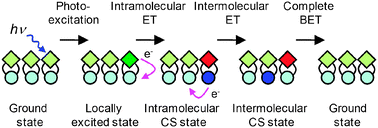 Graphical abstract: Photoinduced intra- and intermolecular electron transfer in solutions and in solid organized molecular assemblies