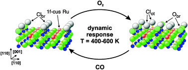 Graphical abstract: Dynamic response of chlorine atoms on a RuO2(110) model catalyst surface