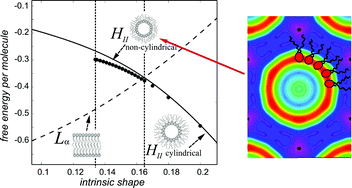 Graphical abstract: Elastic deformations in hexagonal phases studied by small-angle X-ray diffraction and simulations