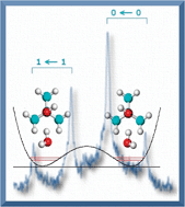 Graphical abstract: Internal dynamics in complexes of water with organic molecules. Details of the internal motions in tert-butylalcohol–water