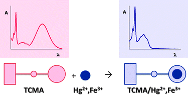 Graphical abstract: Steady-state and time-resolved investigations of a crown thioether conjugated with methylacridinium and its complexes with metal ions