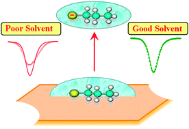 Graphical abstract: Probing interfacial solvation of incipient self-assembled monolayers