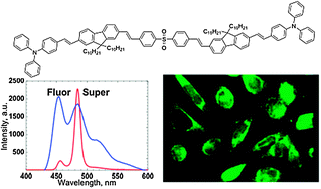 Graphical abstract: A superfluorescent fluorenyl probe with efficient two-photon absorption