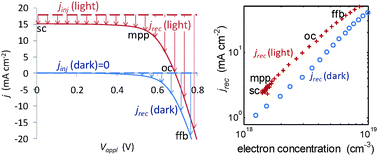 Graphical abstract: Factors controlling charge recombination under dark and light conditions in dye sensitised solar cells