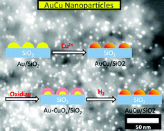 Graphical abstract: Synthesis of silica supported AuCu nanoparticle catalysts and the effects of pretreatment conditions for the CO oxidation reaction