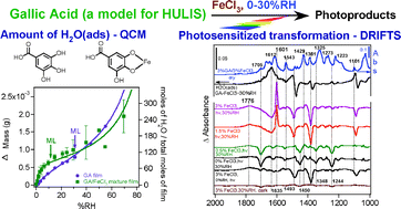 Graphical abstract: DRIFTS studies on the photosensitized transformation of gallic acid by iron(iii) chloride as a model for HULIS in atmospheric aerosols