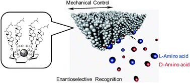 Graphical abstract: Langmuir monolayers of a cholesterol-armed cyclen complex that can control enantioselectivity of amino acid recognition by surface pressure