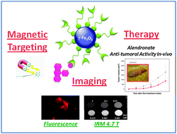 Graphical abstract: A multimodal magnetic resonance imaging nanoplatform for cancer theranostics