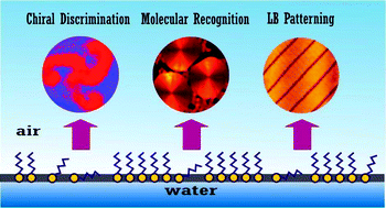 Graphical abstract: Nanoaggregate shapes at the air/water interface