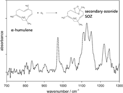 Graphical abstract: The gas-phase ozonolysis of α-humulene