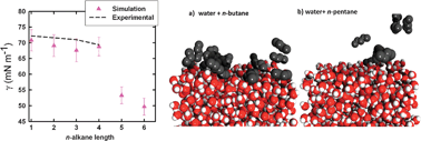Graphical abstract: Adsorption of n-alkane vapours at the water surface