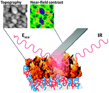 Graphical abstract: Local chemical composition of nanophase-separated polymer brushes