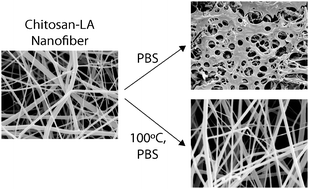Graphical abstract: Electrospinning of chitosan derivative nanofibers with structural stability in an aqueous environment