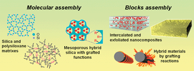 Graphical abstract: Hybrid and biohybrid silicate based materials: molecular vs. block-assembling bottom–up processes
