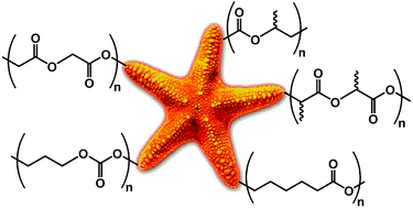 Graphical abstract: Aliphatic polyester polymer stars: synthesis, properties and applications in biomedicine and nanotechnology