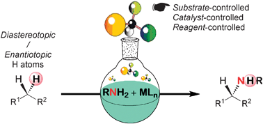 Graphical abstract: Catalytic C–H amination: the stereoselectivity issue