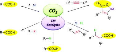 Graphical abstract: Transition-metal-catalyzed C–C bond formation through the fixation of carbon dioxide
