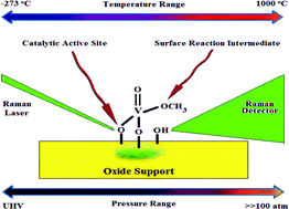 Graphical abstract: Monitoring surface metal oxide catalytic active sites with Raman spectroscopy