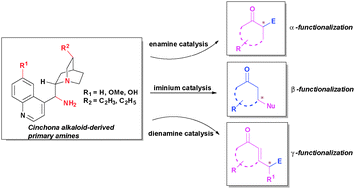 Graphical abstract: Recent advances in asymmetric catalysis with cinchona alkaloid-based primary amines